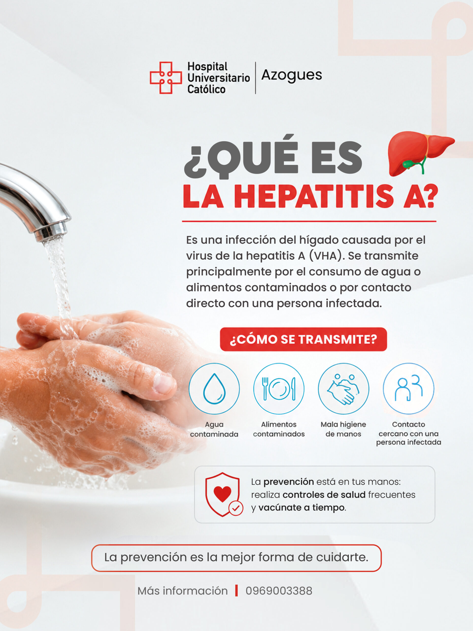 QUE CAUSA LA HEPATITIS A.jpg